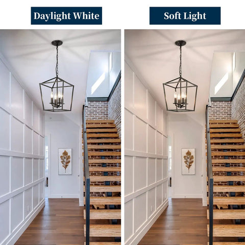 Four Light Black Farmhouse Chandelier With Industrial Metal Cage Adjustable Height Rustic Hanging Light in hallway
