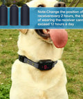 Dog wearing collar with Prong Collar Rubber Sleeve 24 Pack For Shock And Anti Bark Collars 16 Mm Size Replacement Tips
