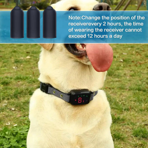 Dog wearing collar with Prong Collar Rubber Sleeve 24 Pack For Shock And Anti Bark Collars 16 Mm Size Replacement Tips