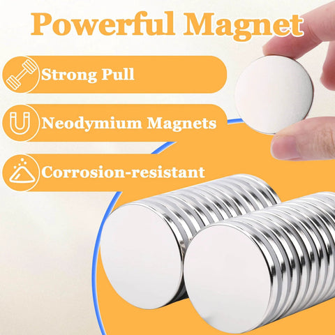 Front view of 12 neodymium disc magnets, 1.26 in diameter and 1/8 in thick, shiny metal finish.