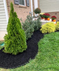 Spiral Nylon Landscape Anchoring Spikes 50 Pack 8 Inch Garden Ground Stakes installed in a garden for weed barrier and artificial turf