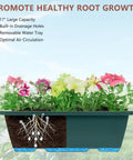 Pretty Cool Set Of Two Deck Railing Planters With No Sweat Hanging System Perfect For Balcony Window Boxes Great Way To Grow Herbs Fresh Greens Or Lovely Flowers In Cramped Spaces Straight Up Effortless 17 inch planter with drainage and flowers.