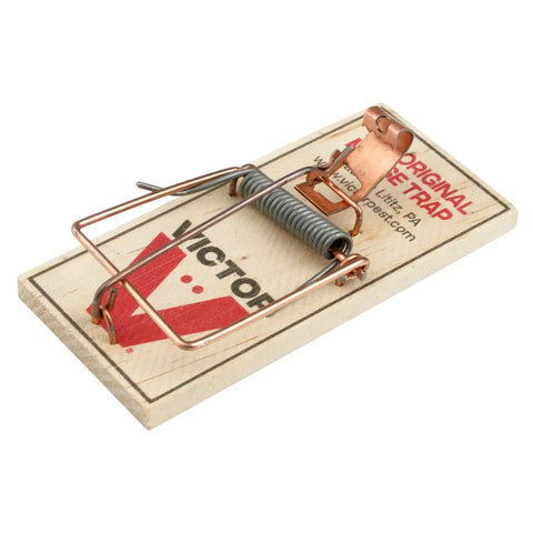 Top Tier Reusable Wooden Snap Mouse Traps 12 Pack Heavy Duty Rodent Control For Indoor Spaces That Catches Mice Quick And Saves Your Pad From Nightly Rats With Absolutely Zero Drama - close-up of mouse trap with metal hinge.