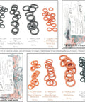 Replacement O Ring Kit For Pressure Washer Spray Hose Seals, 100 O Rings In 2 Sets With Tools, Fits AR Blue Clean models, displayed