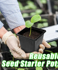 Person holding 100 Pack Square Plant Nursery Pots With Drainage Holes Three And A Half Inch Plastic Seed Starter Pots