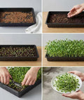 No Holes Seedling Trays Set, 10 Durable Pro Grade Plant Trays Measuring 17 Inch By 11 Inch For Seed Starting and Microgreens