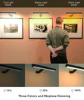 Wireless Picture Light Rechargeable With 4000mAh Battery illuminating artwork in cool, nature, and warm lighting modes.