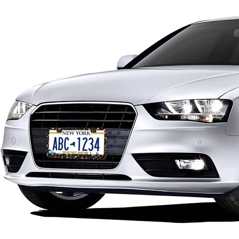 Two Pack Stainless Steel License Plate Frame Covers With Screw Caps For Standard 12.2 By 6.3 Inch Plates on white car front