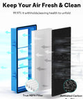Cross-section view of Must Have Aer1 Filter Replacement Pack For Holmes Air Purifiers With 2 True HEPA Filters and 4 Carbon Booster Pre Filters