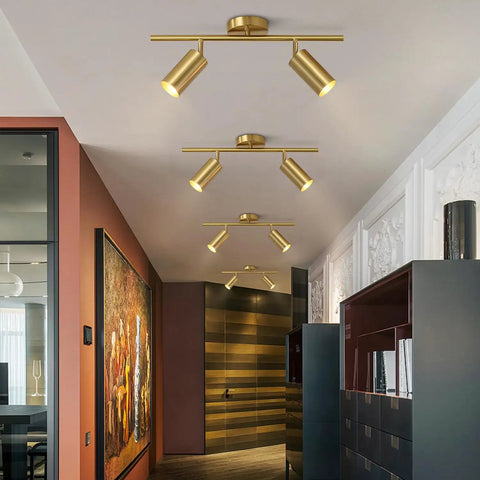 Mid Century Modern 2 Light LED Track Lighting Kit With Dual Way Operation Gold Flush Mount Ceiling Spotlight in hallway