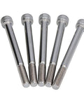 Dead Nuts Reliable M10 X 110mm Hex Socket Head Cap Screws Bolt Kit With 10 Pack A2-70 Stainless Steel, showing five fully threaded bolts.