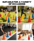 Backyard Dog Agility Hurdle Set with cones and rods in different settings for pet exercise and kids play at home and outdoors.