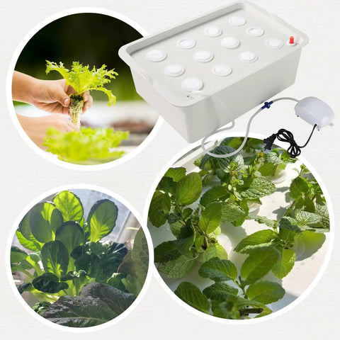 Hydroponic Growing Kit With Air Pump 12 Hole Soilless Grow Box For Herbs Lettuce And Veggies Indoor Garden Cabinet