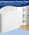 401 Replacement Filter next to icons showing dust, pet dander, and pet hair filtration with focus on the purifier efficiency.