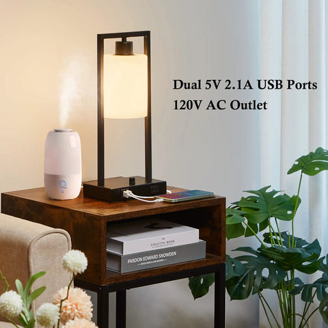 Industrial Table Lamp Set Of 2 Dimmable Nightstand Lamps With USB Ports And AC Outlet, on wooden table next to plants