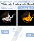 Go To Rechargeable LED Dental Mirror With USB Charging, Fog Free Surface, White And Yellow Dual Lighting, Detachable Design For Easy Cleaning, Compact And Portable For Home Or Clinic Use, Blue, white and yellow light modes