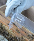 Beekeeper using Clear Queen Bee Cage Catcher Clip Set For Beekeeping Tools on hive frame with bees.