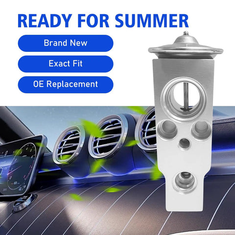 Automotive Air Conditioning Expansion Valve Wear-Resistant Rust-Proof Metal, front view with car interior background
