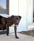 Heavy Duty Dual Pane Sliding Glass Door Pet Panel With Thick Insulated Flap For Brutal Weather, black dog using pet flap.