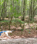 Woman running with dog using Shock Absorbing Bungee Tug Line for Skijoring and Bikejoring, Hands Free Dog Leash With Waist Belt Compatibility