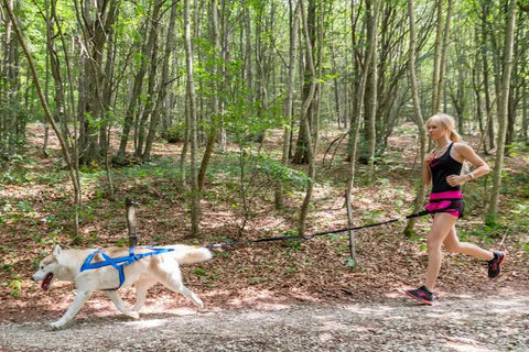 Woman running with dog using Shock Absorbing Bungee Tug Line for Skijoring and Bikejoring, Hands Free Dog Leash With Waist Belt Compatibility