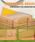 10 Frame Beehive Medium Super Box With Window For Easy Beekeeping, Langstroth Style, Wooden Frames, Waxed Foundations, Unassembled