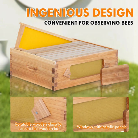 10 Frame Beehive Medium Super Box With Window For Easy Beekeeping, Langstroth Style, Wooden Frames, Waxed Foundations, Unassembled