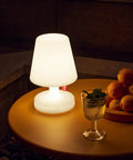 Tiny Rechargeable LED Lamp 2.0 Go Anywhere Dimmable Table Light for Indoor and Outdoor Use on patio table with fruit bowl