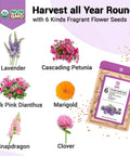 Diagram showing Hydroponic Flower Seed Pods Kit with images of lavender, petunia, marigold, dianthus, snapdragon, and clover.