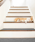 Non Slip Stair Treads For Wooden Steps With Adhesive Backing, 28X9 Inches, pet safe grip gray polypropylene treads on staircase