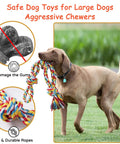 Dog holding Indestructible Dog Rope Toys For Aggressive Chewers Heavy Duty Tug Of War And Chew Toys For Medium And Large Dogs. 