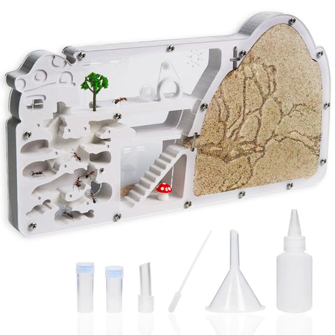 Large Viewing Ant Farm For Live Ants And Sand Habitat with tools, double-sided observation kit for kids and adults.