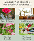 Collage showing Lightweight Hand Pruners And Pruning Shears With Easy Lock For Garden Gear Yard Work Bypass Carbon Steel Blade Rust Resistant Garden Tools in use on roses, small branches, shrubs, and vegetables.