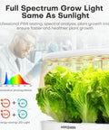 Scientist observing Indoor Hydroponic Garden System With 12 Pods LED Grow Light Growth Lamp for lettuce growth.