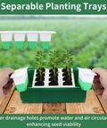 Hands holding 80 Cell Seed Starter Tray Kit with Soft Silicone Cell Bases featuring seedlings and removable trays