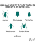 Chart showing insects controlled by Insect Killing Soap Concentrate For Plants Insecticidal Soap That Wipes Out Aphids Whiteflies Thrips Spider Mites And More OMRI Listed For Organic Use Safe On Most Flowers Herbs Vegetables Houseplants Lawn And Garden