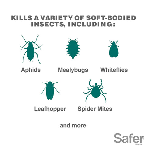 Chart showing insects controlled by Insect Killing Soap Concentrate For Plants Insecticidal Soap That Wipes Out Aphids Whiteflies Thrips Spider Mites And More OMRI Listed For Organic Use Safe On Most Flowers Herbs Vegetables Houseplants Lawn And Garden