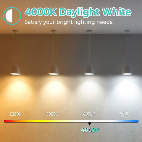 Lighting display showing color temperatures from 2000K to 5000K with 4000K daylight highlighted under ceiling lamps.