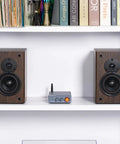 BT20A Pro Bluetooth 5.0 Amplifier 300W x 2 Two Channel Class D Wireless Power Amp with passive speakers on a shelf