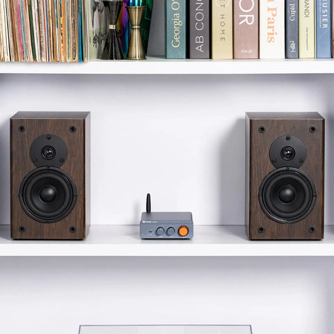 BT20A Pro Bluetooth 5.0 Amplifier 300W x 2 Two Channel Class D Wireless Power Amp with passive speakers on a shelf