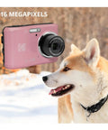 Easy Peasy Pastel Pink 16MP Point And Shoot Camera With 1080P Full HD Video Includes 128GB SD Card Compact Case And Four AA Batteries beside a corgi.
