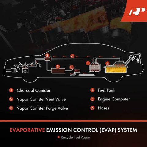 Diagram of EVAP system highlighting Vapor Canister Purge Solenoid Valve Direct Fit Replacement For Ford F150 Escape Fusion Explorer Mustang