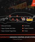 Diagram showing EVAP system components including Vapor Canister Purge Solenoid Valve for Jeep and Dodge.