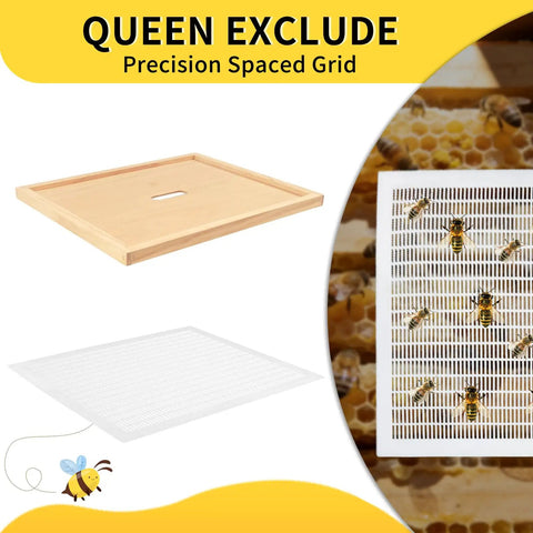 Natural Wood 10 Frame Langstroth Beehive Parts Kit with telescoping top cover, plastic queen excluder, and bees.