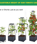 Two Pack Raised Garden Bed With Tomato Cages And Trellis, 57 Inch Self Watering Planter Box with adjustable trellis heights.