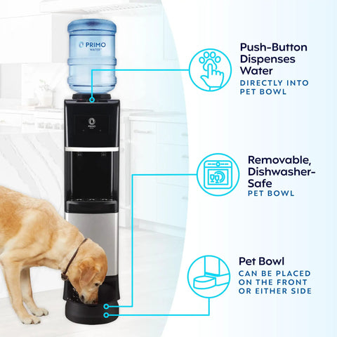 Top Loading Water Dispenser With Hot And Cold Water, 5 Gallon Bottle Compatible, Pet Drinking Station with dog using pet bowl