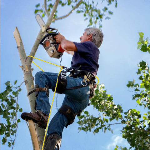 Top Shelf Half Inch By 120 Foot Arborist Rope Delivering Bone Hard 9000 Pound Static Strength And Killer Grip For Real Deal Tree Care Rigging And Canopy Operations Daily