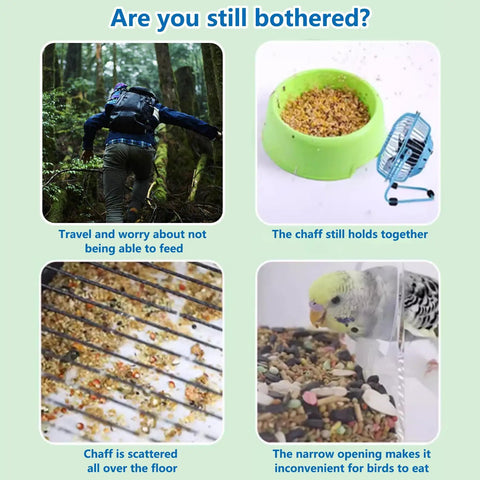 Hassle Free Bird Feeder And Water Dispenser Set Featuring Clear Acrylic Jar And Secure Perch For Parakeets Budgies And Lovebirds To Keep Your Flock Well Fed And Super Happy All Day Long Without Any Messy Struggles.