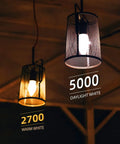 LED Filament Chandelier Bulbs Dimmable 5.5W 60W Equivalent Daylight White 5000K hanging in pendant light fixture with contrast to warm white bulb