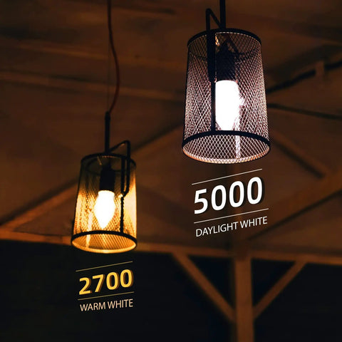 LED Filament Chandelier Bulbs Dimmable 5.5W 60W Equivalent Daylight White 5000K hanging in pendant light fixture with contrast to warm white bulb
